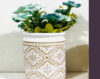 Tabletop Ceramic Indoor Planter (K-FV-09-A) (K-FV-09-A)